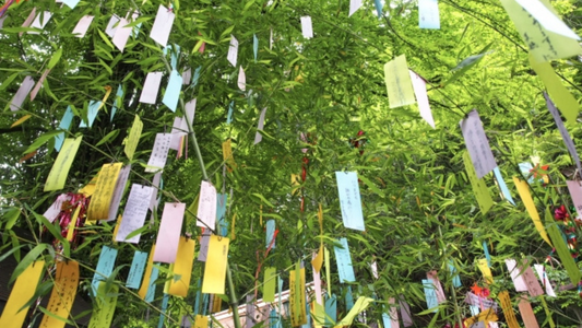 Tanabata: Celebrando la Festa delle Stelle in Giappone